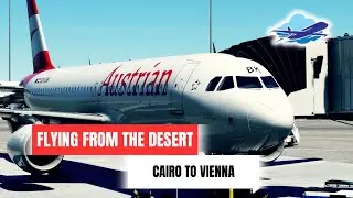 From Cairo to Vienna: Unveiling the Journey in Austrian Business Class!
