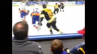 Bridgeport sound tigers