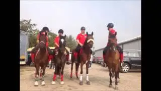 MOUNTED GAMES - FIRST COMPETITION WITH MY LITTLE ZEBRA