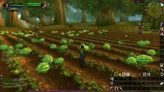 WoW Kronos Private Server. Let's play some vanilla WoW!