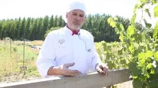 Elegant farm-to-table dining in Eagle