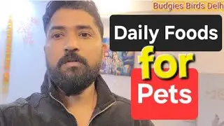😋||Daily foods for pets||😍#birds #parrot #pets #badgies #trending #badgies #germanshepherd #dogfood