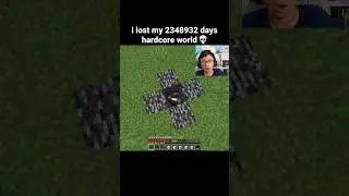 Minecraft Hardcore World Moment