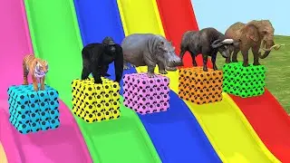 Choose The Right Drink With Monkey Lion Dinosaur Wild Animals Crossing Fountain Game