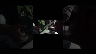 Rage Against the Machine | Take the Power Back | Bass Cover #bass #basscover #rageagainstthemachine