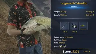 CotW The Angler-Izilo Zasendulo(2024)-Largemouth Yellowfish(Diamond)