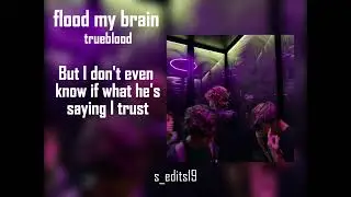 flood my brain by trueblood video lyrics