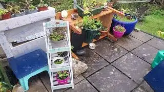 DIY - coffee table turned into plant holder