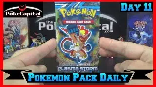 Pokemon Pack Daily Opening Plasma Storm Booster Day 11