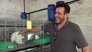 BIENESTAR ANIMAL - CUNICULTURA