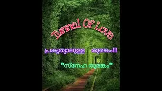 Tunnel of Love in Klevan Ukraine | Blue Crystals