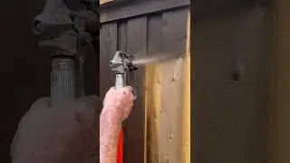 Staining a Western Red Cedar fence!