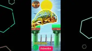 Islamic VFX|islamic video 