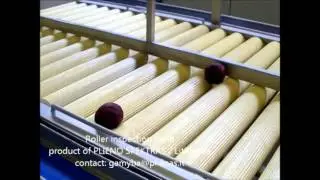 Roller inspection table