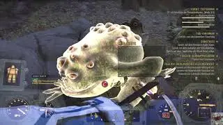 Fallout76 t&auml;gliche 3 Events und eine Brandbestie 02.10.2023
