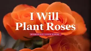 Help Them Heal by Letting Go🌹 Love Poem