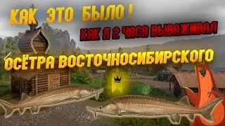Река Нижняя Тунгуска • Как я 2 часа вываживал Осётра восточносибирского • Русская Рыбалка 4 