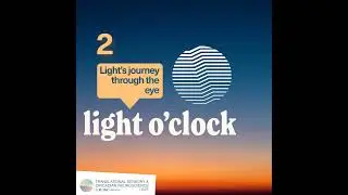 Season 1 &ndash; Episode 2: Light&rsquo;s journey through the eye