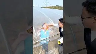 La casa di plastica distrutta! 🥵 🏠😂