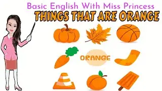 THINGS THAT ARE ORANGE / Orange Objects / color orange / learn Colors / Orange around me