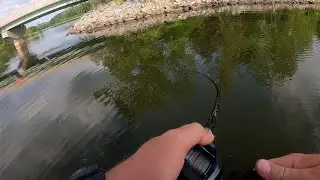 Late MAY Bass Fishing with TOPWATER (Sandy River Reservoir)