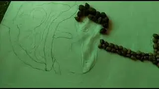 How to make digestive system model with seeds