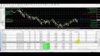 Make 1212 $ in one day - very profitable EA - work in Renko chart