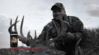 Know when to hunt.