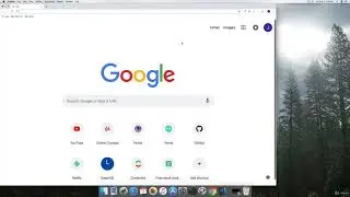 16  Lorem Ipsum Dummy Text | HTML FULL COURSE  | Skills to Learn