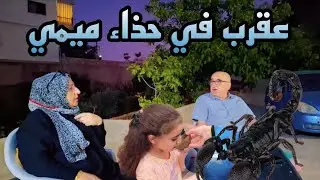 وجدنا 4عقارب بيومين،مشكل بين نبع الحنان والحج بسبب رش المبدات