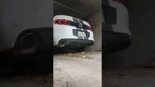 2014 Ford mustang GT with Borla S-Type axle back exhaust system. Cold start and idle.