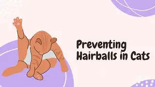 Understanding and Preventing Hairballs in Cats: Expert Tips and Advice
