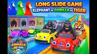 Long Slide Game 🐘 Elephant vs Gorilla vs Tiger  Funny 3D Animal Game