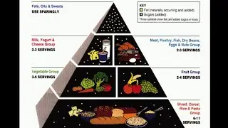 Expert at University of Michigan weighing in on new dietary guidelines