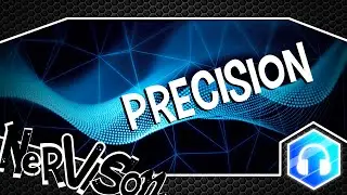 NerViSon - Precision