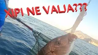 XIPI JE ZAKON! Jigging sa JLC Xipi blizu Komiže