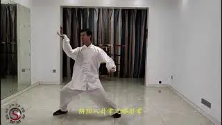 田氏阴阳八卦掌 Tian Family Yin-Yang Baguazhang (Eight Trigram Palm)