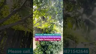 cheapest property in Delhi NCR | 1- Bigha Farmhouse for sale | Sector 135 Noida At Noida Expressway