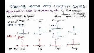 Drawing titration curves for amino acids - strategy, intuition, and examples