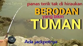 Mancing uceng di sungai kacangan|| bonus wader babon||micro fishing