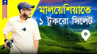 মালয়েশিয়াতে চা বাগান দেখতে কেমন??? #cameronhighland #Gowitholibhai 