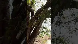 hidden fort of Rajasthan