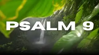Psalm 9   |   Song