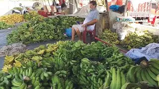 1.000 BANANAS POR 35 REAIS SÓ NO NORDESTE .OLHA ISTO BRASIL!!!!