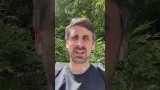 Summer working with low internet