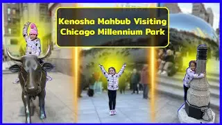 Visiting Chicago Millennium Park