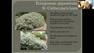 UC Master Gardeners - Favorite Local Natives