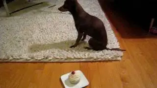 Chilupa's 4th Birthday