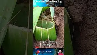 Cara Menjebak Laron #sangsakapakidulan #reactionvideo #shortvideo #trendingshorts