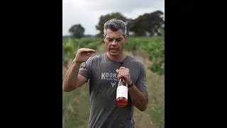 Emily May Ros&eacute; | Elegant Sangiovese Pink | Award-Winning Dry Ros&eacute;